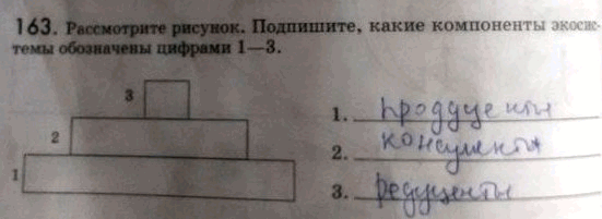 Изображение 1 63. Рассмотрите рисунок. Подпишите, какие компоненты экосистемы обозначены цифрами 1—3....